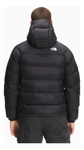 Campera The North Face Men Hydrenalite Hoodie 600 Plumas