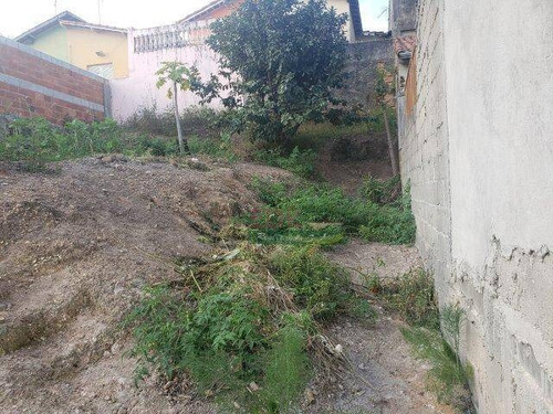 Imagem 3 de 4 de Terreno À Venda, 250 M² Por R$ 191.000 - Jardim Das Indústrias - Jacareí/sp - Te0848