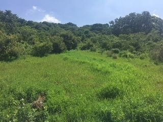 Imagen 1 de 3 de Terreno Medio Para Venderse Fraccionado En Juitepec Morelos