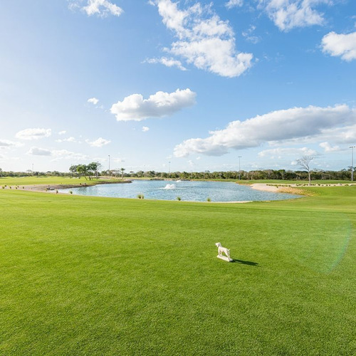 Terreno En Venta Frente Al Campo De Golf, Mérida, Yucatán