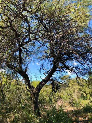 Imagen 11 de 24 de Lotes Con Escritura Desde 1556 M2 A 2365 M2 / Villa De Las Rosas - Traslasierra