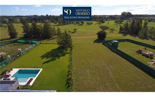 Lote Grande Al Golf En Medal