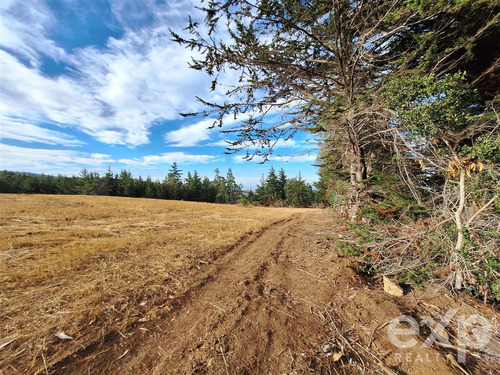 Sitio 3 Has. En Venta En Pichilemu