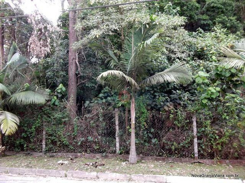 Imagem 4 de 6 de Terreno Comercial À Venda, Nova Higienópolis, Jandira - Te0174. - Te0174