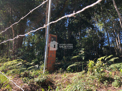Imagem 3 de 25 de Terreno, Dos Neves (caucaia Do Alto), Cotia - R$ 75 Mil, Cod: 4255 - V4255