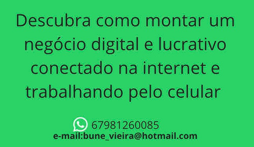 Imagem 1 de 1 de Empreendedor De Marketing Digital