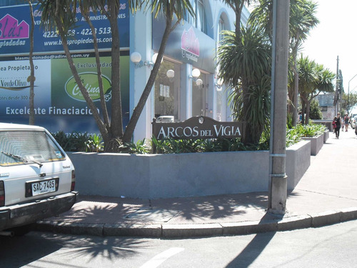 Locales Comerciales Arcos Del Vigía