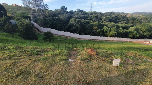 Imagem 3 de 8 de Terreno À Venda Em Monte Alegre - Te002363