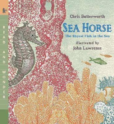 Libro Sea Horse : The Shyest Fish In The Sea - Chris Butt...