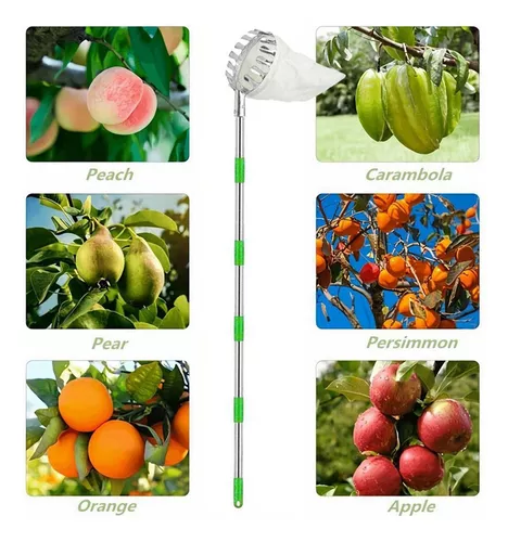 Recogedor De Frutas Con 5 Postes Telescópicos, Recolector De