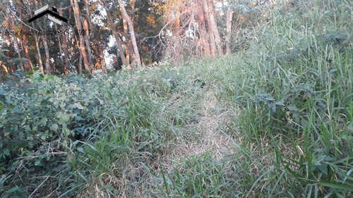 Imagem 14 de 15 de Terreno Com 6354m2 Na Granja Viana Em Cotia - 271