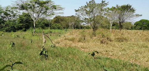 Imagen 10 de 11 de Venta De Finca, Santa Rosa, Bolivar.