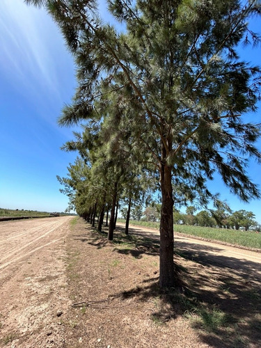 Imagen 11 de 22 de Terreno Lote En Venta Barrio Cerrado Colores Financiado Zona Oeste