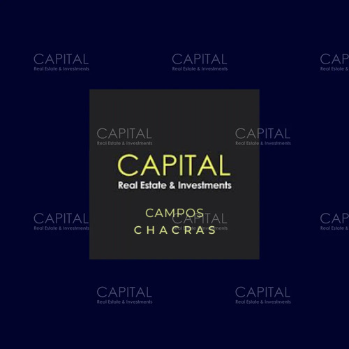 Campo Ganadero - Forestal 550 Has