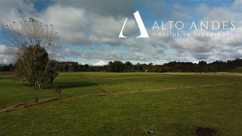 Imagen 8 de 18 de Sitio En Venta En Puyehue