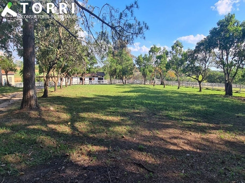 Belo Haras À Venda Em Porto Feliz - Ha00013 - 69329721