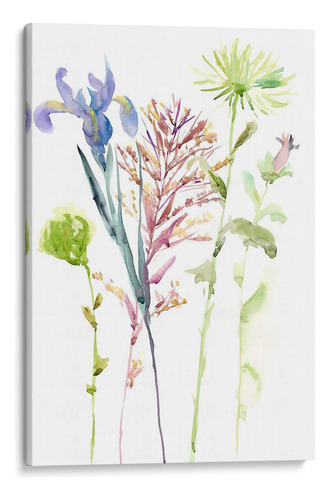 Canvas Lab Cuadro Estudio Floral De Acuarela Iii 80x120