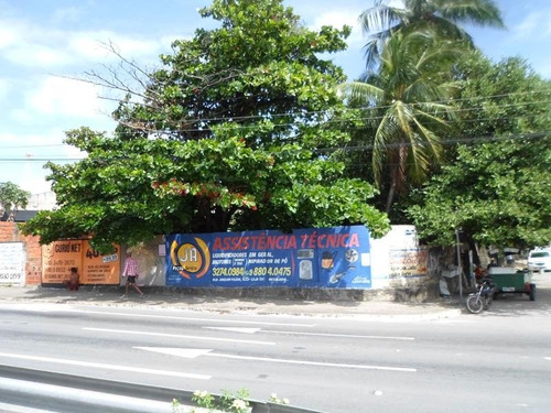 Imagem 7 de 8 de Terreno Para Alugar Na Cidade De Fortaleza-ce - L13770