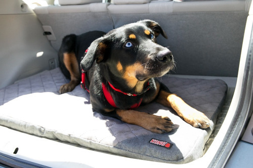 Kong Colchoneta De Viaje Plegable Para Mascotas Perro Y Gato Gris