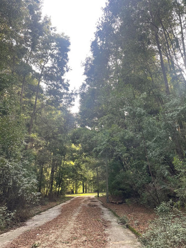 Terrenos En Venta Lo Pequen, Alto Concepción