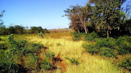 Imagen 2 de 12 de 30 Mzs Diriamba - Carazo