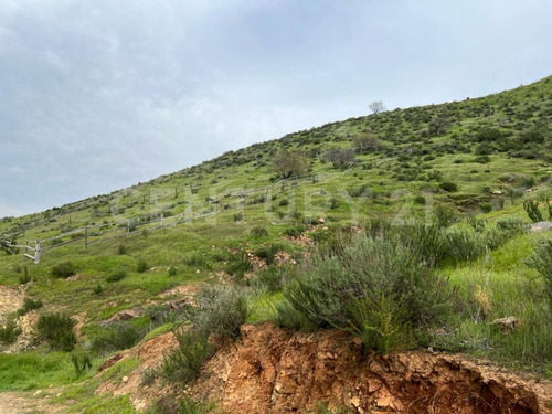 Terreno En Venta En Tecate, B.c.