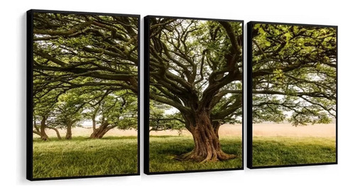 Kit Quadro Decorativo Árvore Grande Verde Sala Quarto 60x80