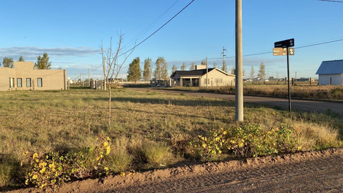 Imagen 2 de 3 de Hermoso Lote En Venta En Don Felipe #trenquelauquen