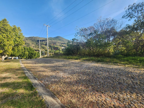 Venta Lote San Diego 152 Mz Xiii Con Todos Los Servicios, Vistas Panorámicas, Proyecto Arquitectónico Incluído En Av Principal Fracc Rancho San Diego Ixtapan De La Sal Edomex