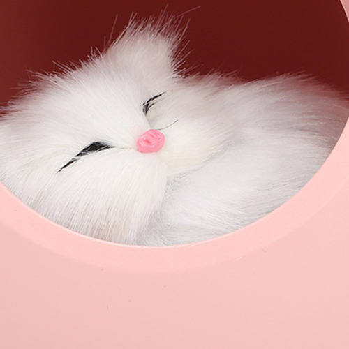 Lindo Gato Luz De Noche Pequeña Casa De Mascotas Led