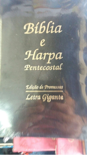Bíblia Sagrada Letra Gigante E Harpa Luxo Promocao