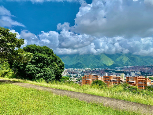Imagen 17 de 19 de Casa En Venta Santa Ana, Cafetal 392m2 Const. 563,25 T, 6 Hab, 5 Baños Y 6 P/e