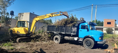 Imagen 4 de 5 de Hacemos Poda En Gral Extracciones Limpieza D. Lotes