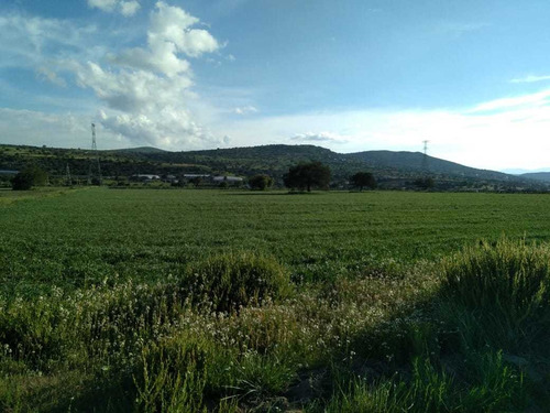 Imagen 4 de 4 de Lote De 3.5 O 7 Hectáreas En Epazoyucan A 20 Min De Pachuca