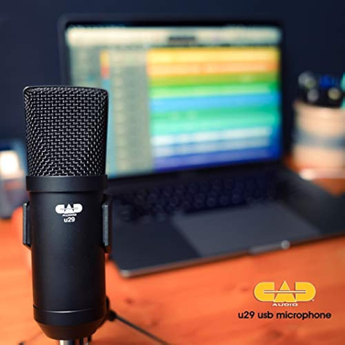 Cad Audio U29 Usb Microfono De Estudio De Direccion Lateral
