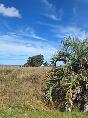 Vendo Campo De 5has Esquinero, Sobre Ruta 19 A 20km Del Chuy, Paraje Isla Negra A 7 Km De 18 De Julio