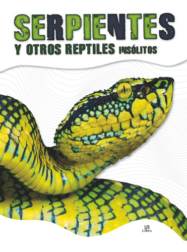 Serpientes Y Otros Reptiles Insolitos - Penalva Comendador,