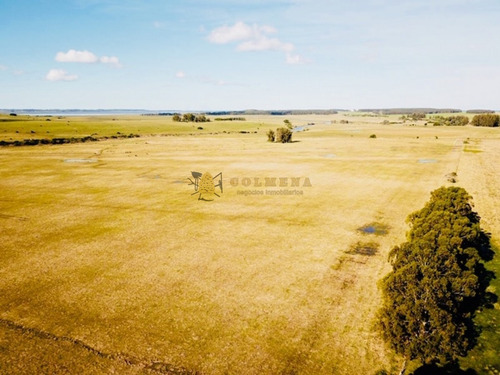 Campo De 20 Has Muy Cerca Del Faro Jose Ignacio - Consulte !!!!!!- Ref: 1436