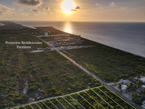 Lotes En Telchac A 200 Metros De La Playa