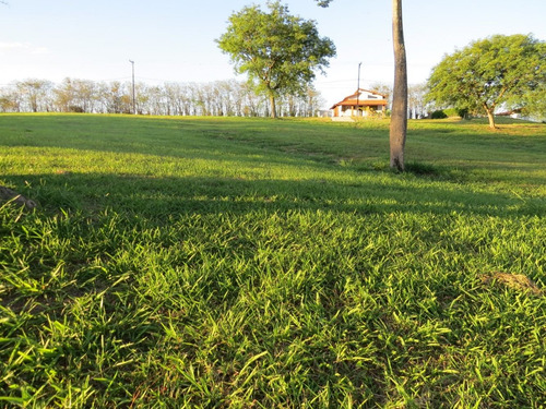 Imagem 4 de 6 de Terreno A Partir De 35 Mil No Empreendimento Ninho Verde I