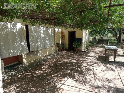 Imagen 19 de 27 de Campo - Punta De Agua