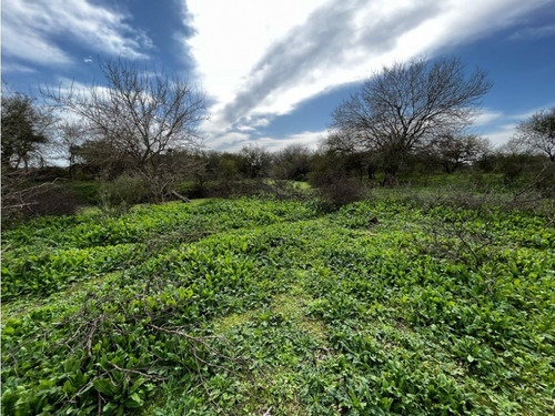 Vendo Campo De 3 Hectáreas En San Justo, Entre Ríos.