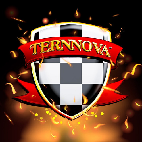 Imagen 3 de 3 de Descontaminante Ferrico Ternnova Iron Hunter X 1 Lt