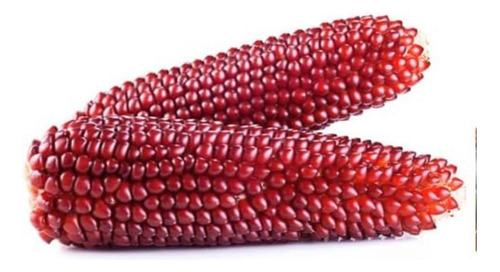 Maiz Rojo En Grano, Orgánico Y Produc - Kg a $13000
