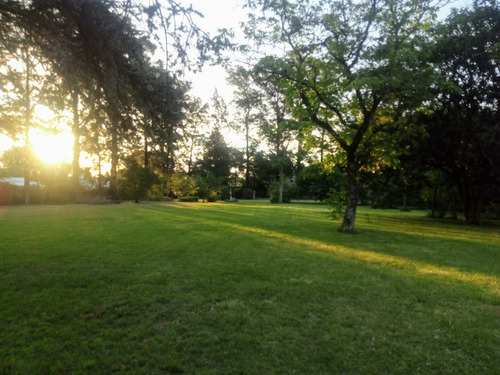 Imagen 7 de 14 de Quinta Con Gran Extensión De Parque. Nuevas Fechas.