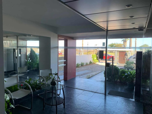 Apartamento En Buceo