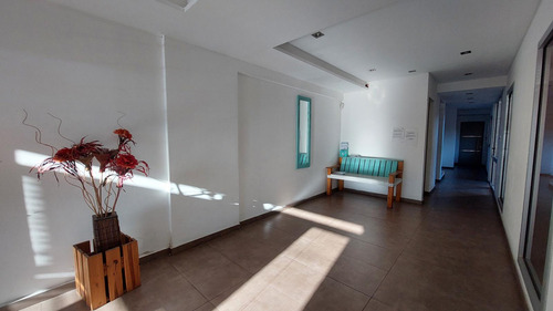 Departamento En Villa Dominico
