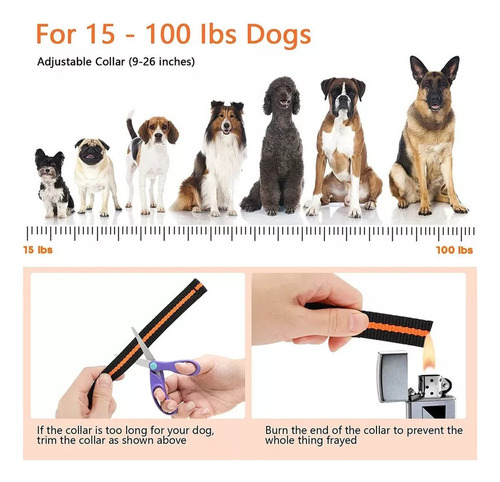 Entrenamiento Para Perros Choque Eletrônico Impermeable De 1