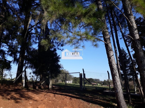Chácara Para Venda - 11039
