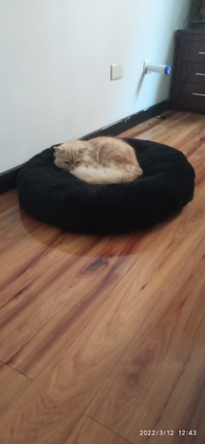 Cama Cuna Para Gatos Y Perros Tipo Dona Mascotas Talla Xl